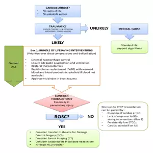 Paediatric Traumatic Cardiac Arrest Algorithm